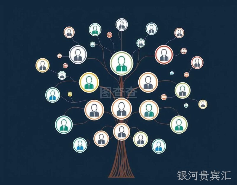 网络营销选购指南：掌握在线营销的钥匙